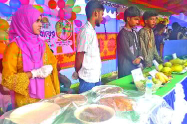 নওগাঁয় ম্যাংগো ফেস্টিভ্যাল
