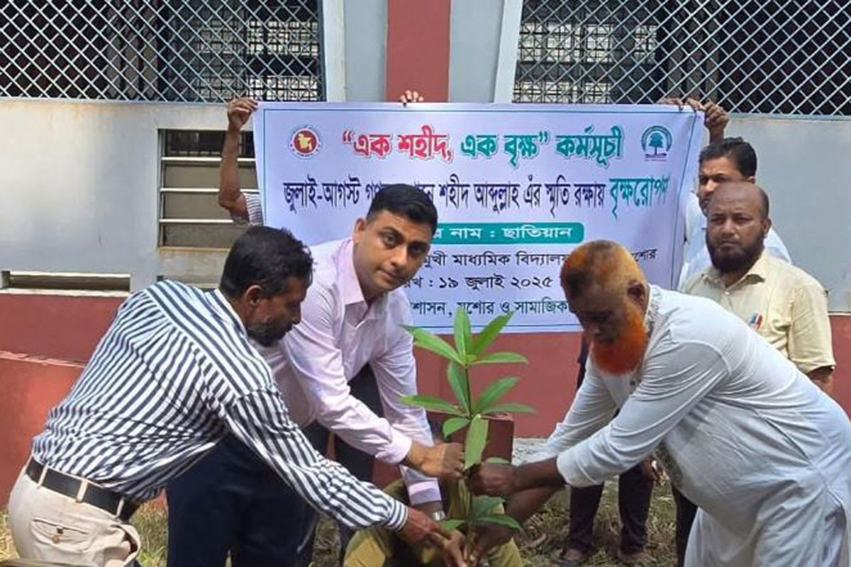 জুলাই গণঅভ্যুত্থানে নিহত বেনাপোলের শহীদ আব্দুল্লাহর স্মরণে বৃক্ষরোপণ
