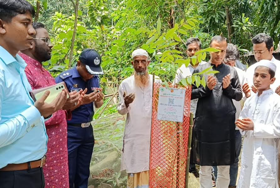চাঁদপুর জুলাই শহীদদের কবরের পাশে বৃক্ষরোপণ