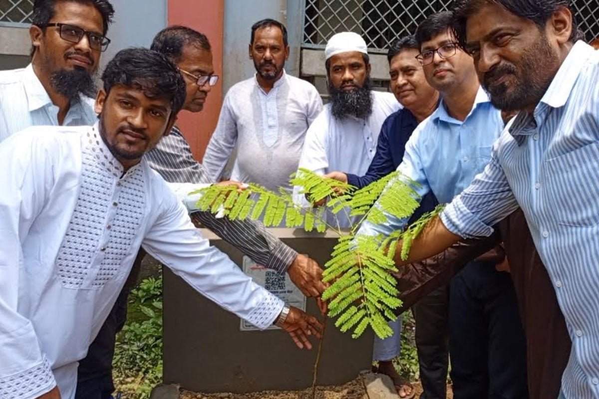 কসবায় শহীদ জুবায়ের ওমর স্মরণে বৃক্ষরোপণ
