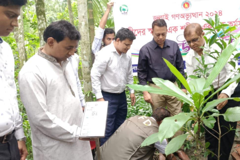 ভোলায় জুলাই শহীদদের স্মরণে ‘এক শহীদ, এক বৃক্ষ কর্মসূচি’ পালন