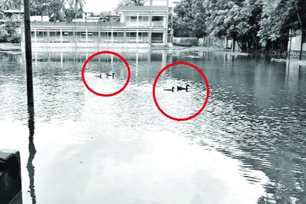 সাত মাস ডুবে থাকে স্কুলমাঠ
