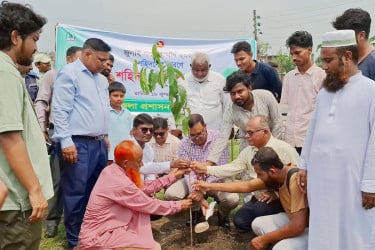 জুলাই শহীদদের স্মরণে গাছ ও স্মৃতিফলক