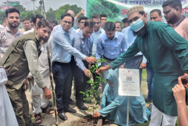 কুষ্টিয়ায় শহীদের স্মরণে বৃক্ষরোপণ কর্মসূচি