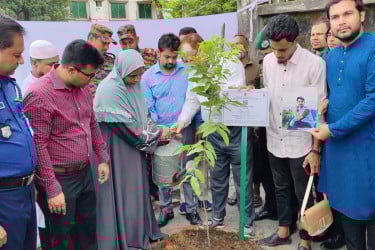 কুমিল্লায় জুলাই শহীদদের স্মরণে বৃক্ষরোপণ কর্মসূচি