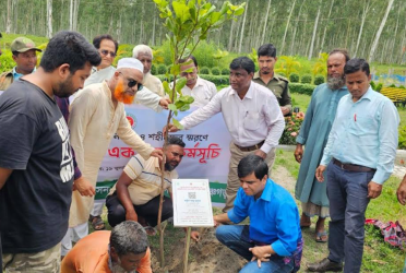 জুলাই গণঅভ্যুত্থানে পঞ্চগড়ের পাঁচ শহীদের নামে বৃক্ষরোপণ