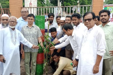নীলফামারীতে চার শহিদের নামে চার গাছ রোপণ
