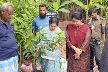 জুলাই গণঅভ্যুত্থানে তিন শহীদ স্মরণে বরিশালের গৌরনদীতে বৃক্ষরোপণ কর্মসূচি