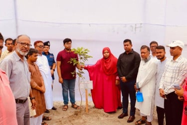 নারায়ণগঞ্জে বৃক্ষ রোপণ কর্মসূচিতে ২১ শহীদকে শ্রদ্ধা