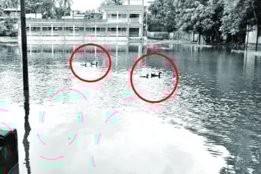 সাত মাস ডুবে থাকে স্কুলমাঠ