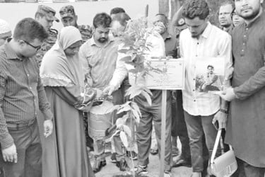 গণ অভ্যুত্থানে শহীদ স্মরণে বৃক্ষরোপণ