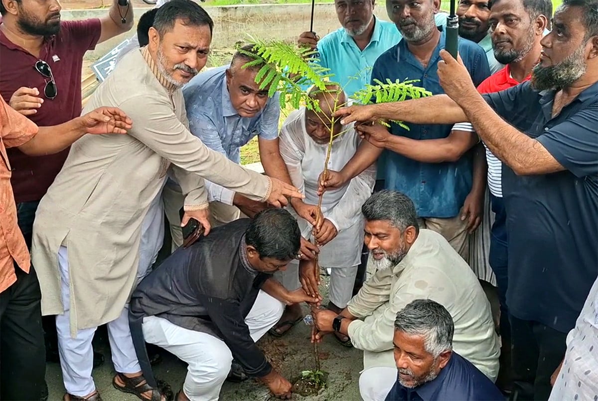 নওগাঁয় শহীদদের স্মরণে বৃক্ষরোপণ
