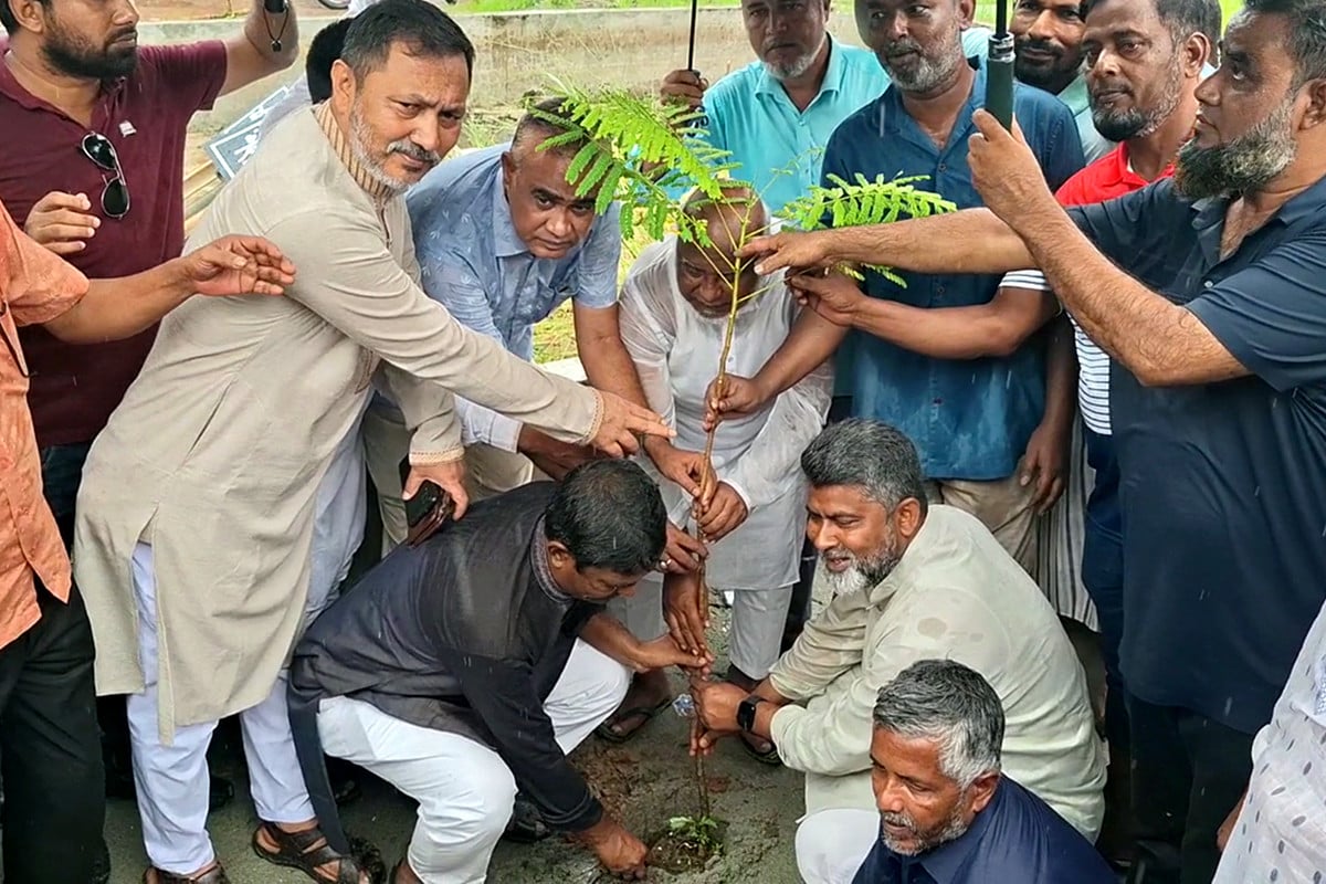 নওগাঁয় শহীদ স্মরণে বৃক্ষরোপণ