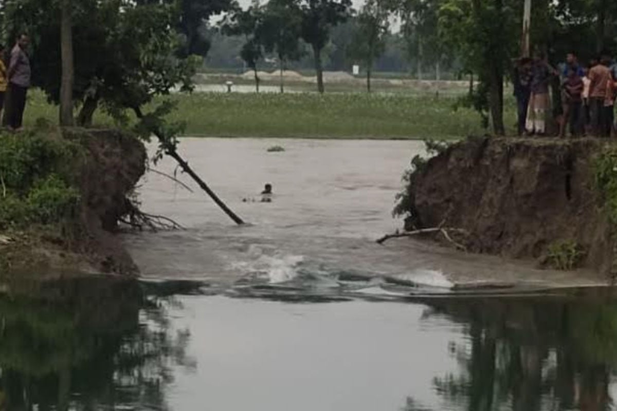 তিস্তা সেচ খালের বাঁধ ভেঙে প্লাবিত ফসলের মাঠ