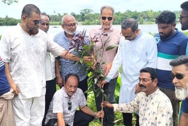 বাগেরহাটে শহীদদের স্মরণে বিএনপির বৃক্ষরোপণ কর্মসূচি