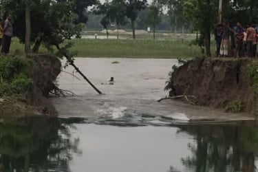 তিস্তা সেচ খালের বাঁধ ভেঙে প্লাবিত ফসলের মাঠ