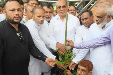 জুলাই-আগস্ট গণঅভ্যুত্থানের শহীদদের স্মরণে
গাজীপুরে বৃক্ষরোপণ