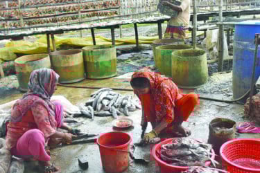 শুঁটকিশিল্পে কঠিন সময়