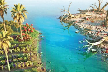 যে কারণে ধ্বংস হয়েছিল সতেজ সাজানো বাগান