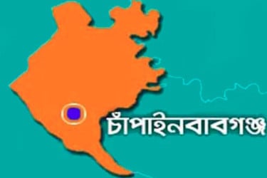 চাঁপাইনবাবগঞ্জে সাপের কামড়ে কৃষকের মৃত্যু