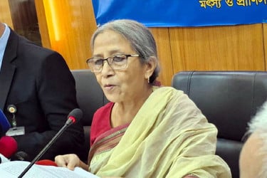সরবরাহ কম ও চাঁদাবাজির কারণে ইলিশের দাম বেশি : উপদেষ্টা