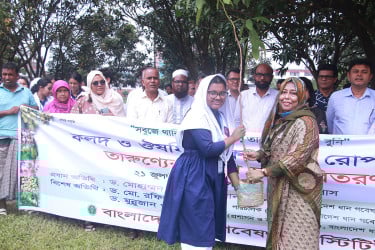 ব্রিতে বৃক্ষরোপণ ও চারা বিতরণ