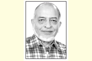এডিস মশা ডেঙ্গু ছড়ায়