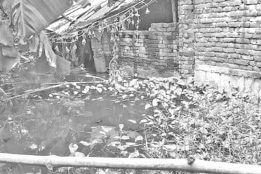 জলাবদ্ধতায় দুর্ভোগে হাজারো মানুষ