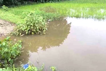 সিরাজগঞ্জে ডোবার পানিতে পড়ে প্রাণ গেল নারীর