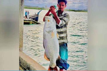 শাহপরীর দ্বীপে বড়শিতে ২৬ কেজির কোরাল, বিক্রি ৩৯ হাজারে
