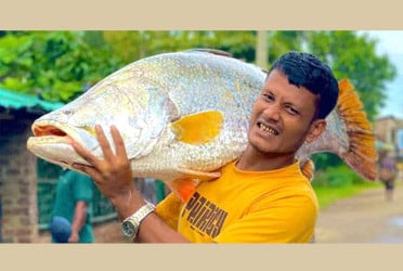 বড়শিতে ধরা পড়লো ২৬ কেজির কোরাল, ৩৯ হাজারে বিক্রি