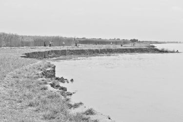 ভাঙছে পদ্মা আতঙ্কে তীরের বাসিন্দা