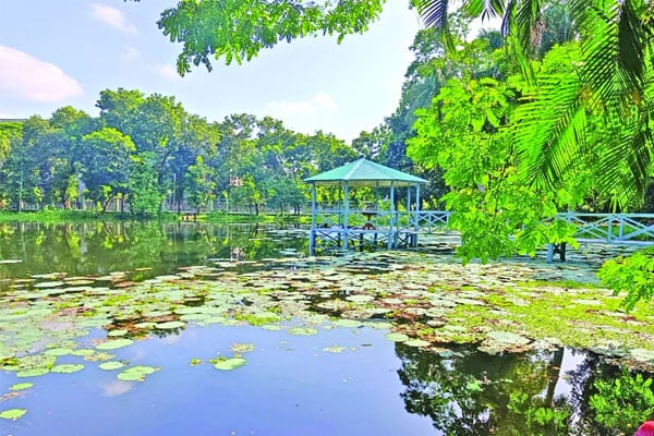স্বরূপে ফিরছে শ্বেতপদ্ম দিঘি