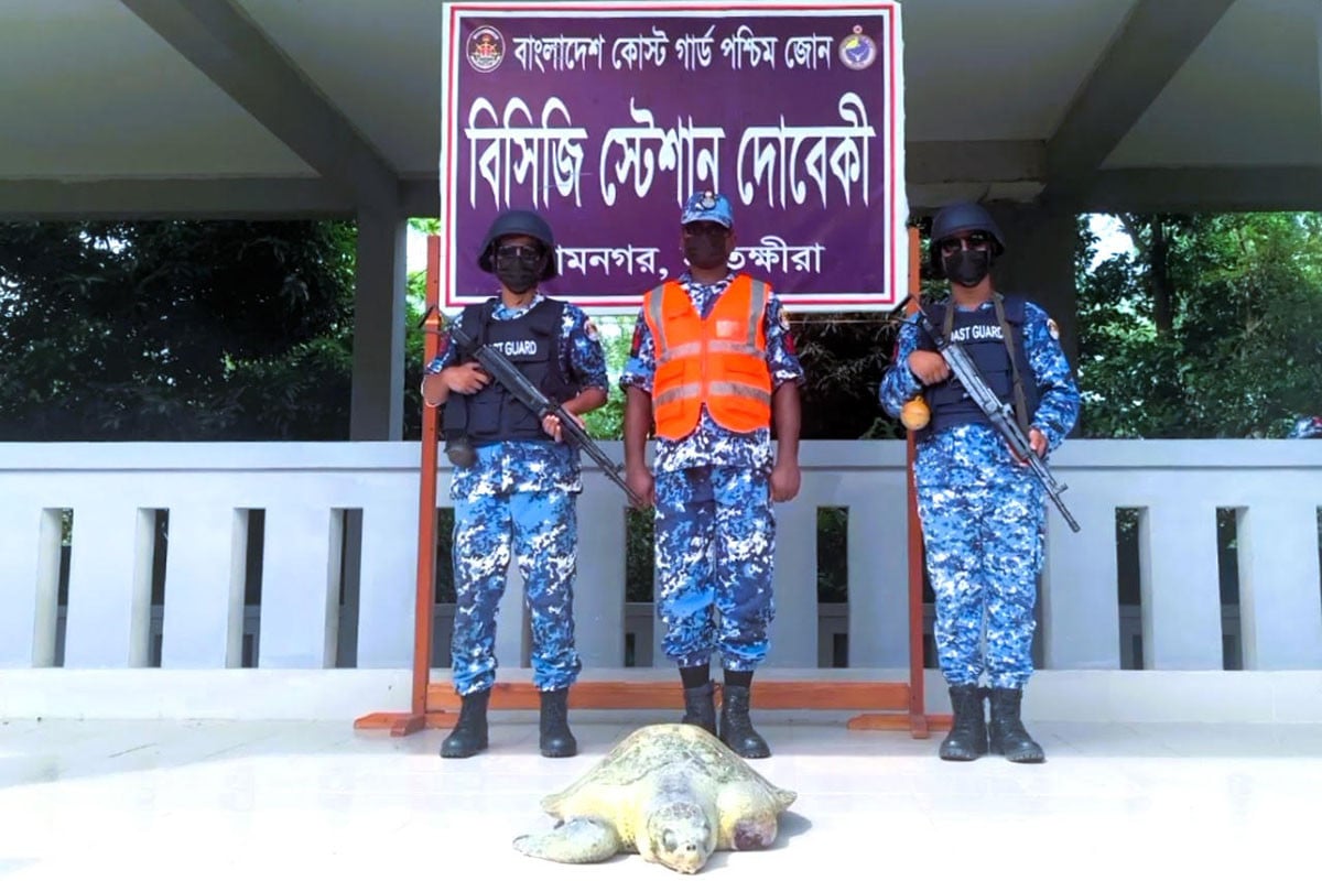 সুন্দরবনের চুনকুরি নদী থেকে আহত কচ্ছপ উদ্ধার