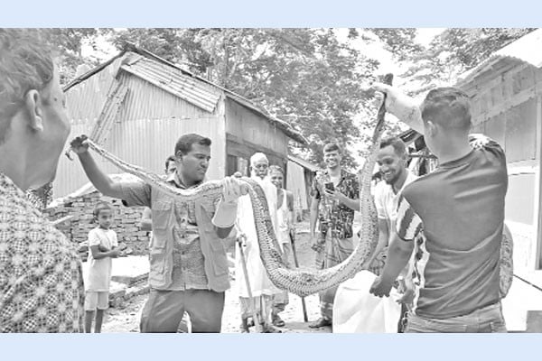 লোকালয়ে অজগর