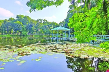 স্বরূপে ফিরছে শ্বেতপদ্ম দিঘি