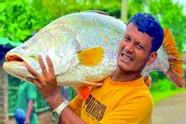বড়শিতে ধরা পড়ল ২৬ কেজির কোরাল