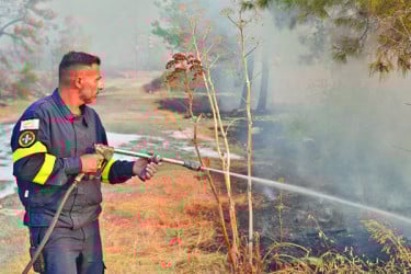 সাইপ্রাসে দাবানল থেকে একটি বনে আগুন