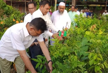 নীলফামারীতে ১৫ দিনব্যাপী বৃক্ষমেলা