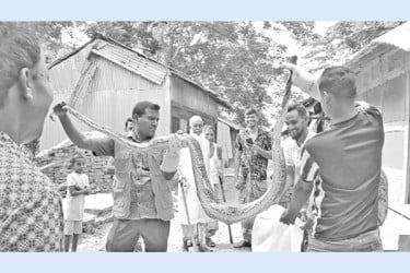লোকালয়ে অজগর