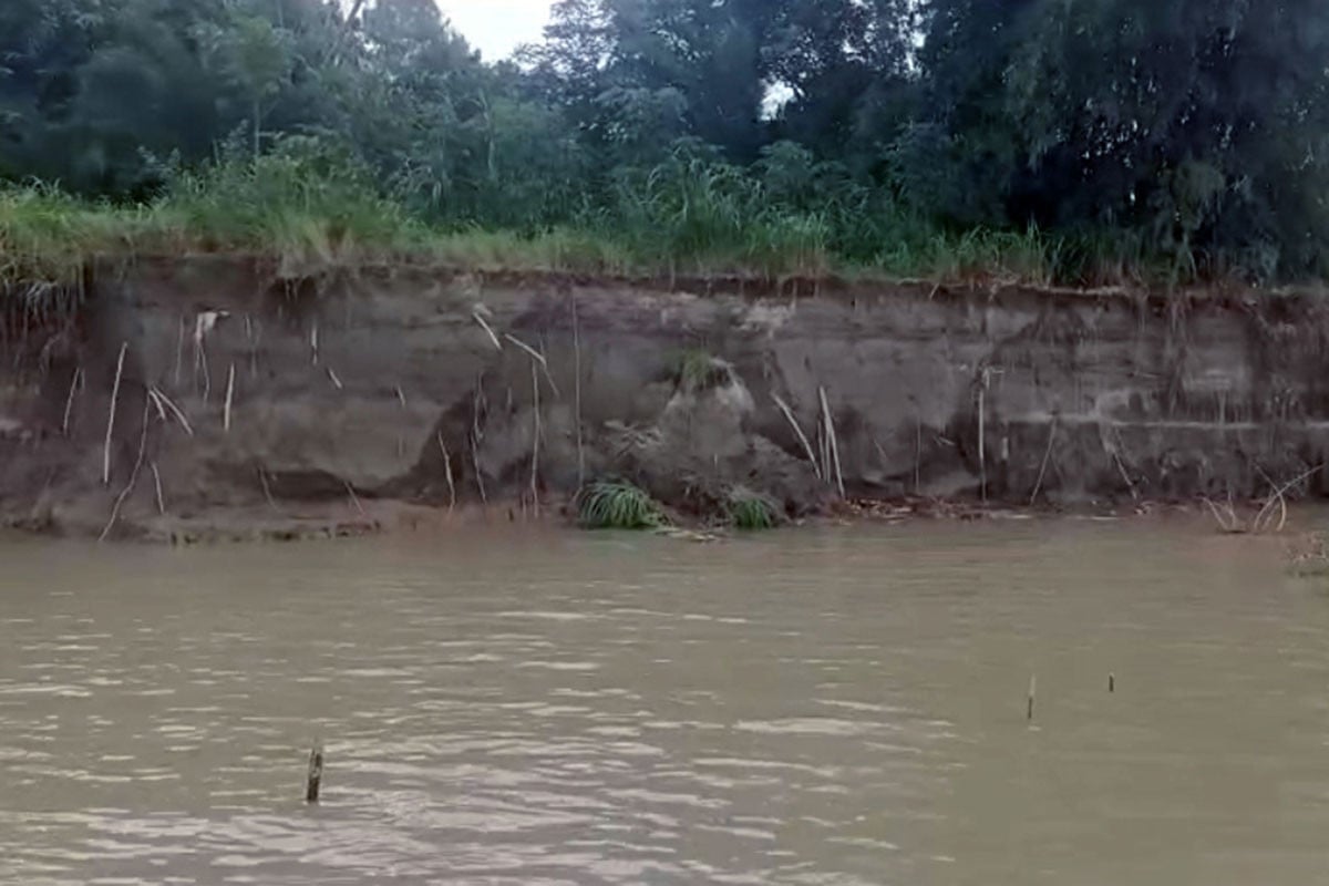 মানিকগঞ্জে পদ্মা নদীতে ব্যাপক ভাঙন