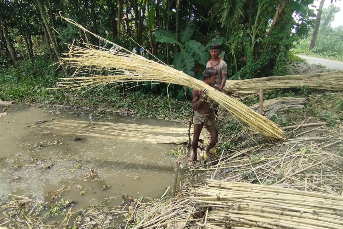 পাট-খড়িতে কৃষকের ঘরে নতুন আশা