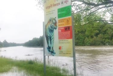 নিম্নচাপের প্রভাবে প্লাবিত সুন্দরবন, ক্ষতির আশঙ্কা নেই
