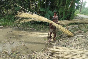 পাট-খড়িতে কৃষকের ঘরে নতুন আশা