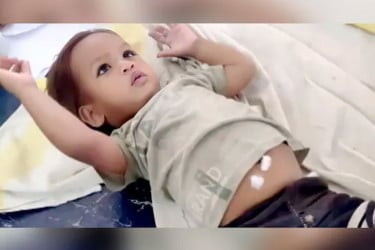 এক বছরের শিশুর কামড়ে মারা গেল কোবরা