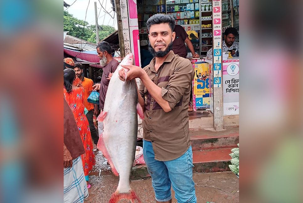বড়শিতে ধরা পড়ল ১১ কেজির পাঙাশ, ৯ হাজার টাকায় বিক্রি