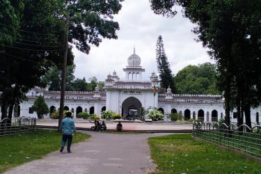রংপুরে গাছ কেটে ধ্বংস পাখির অভয়াশ্রম, জড়িতদের শাস্তির দাবি