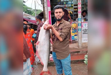 বড়শিতে ধরা পড়ল ১১ কেজির পাঙাশ, ৯ হাজার টাকায় বিক্রি