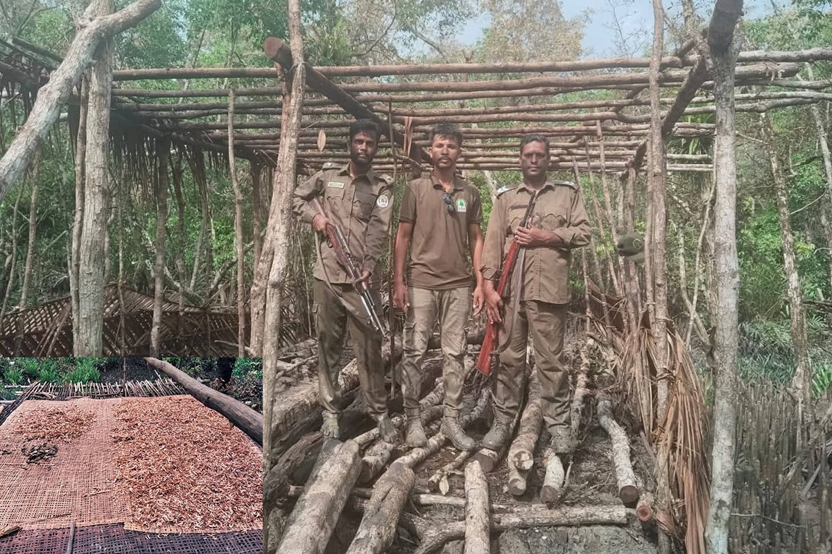 সুন্দরবনে নিষিদ্ধ সময়েও মাছ ধরে বানানো হচ্ছে ‘বিষাক্ত’ শুঁটকি