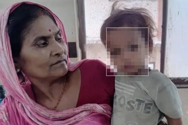এক বছর বয়সী শিশুর কামড়ে গোখরা সাপের মৃত্যু